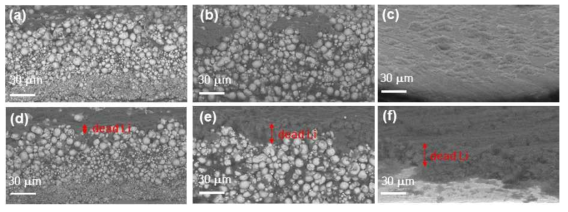 싸이클에 따른 (a, d) PGF, (b, e) SPF-L, (c, f) Cu foil 의 리튬 탈리 후 단면 형상 (a-c) 1 싸이클, (d-f) 20 싸이클