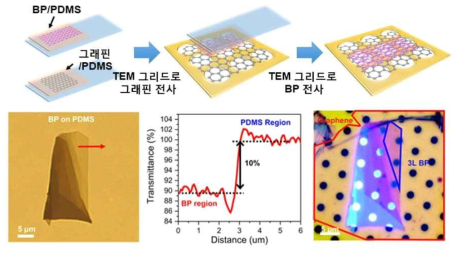 PDMS를 이용한 포스포린/그래핀 투과전자현미경 시편 제작의 예