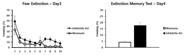 공포소멸 학습 실험조건하에서 ErbB4 KO 생쥐모델과 대조군의 비교