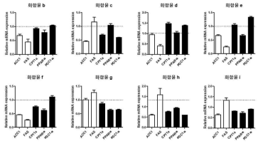 6개 후보화합물에 의한 지방대사 관련 유전자 발현 변화