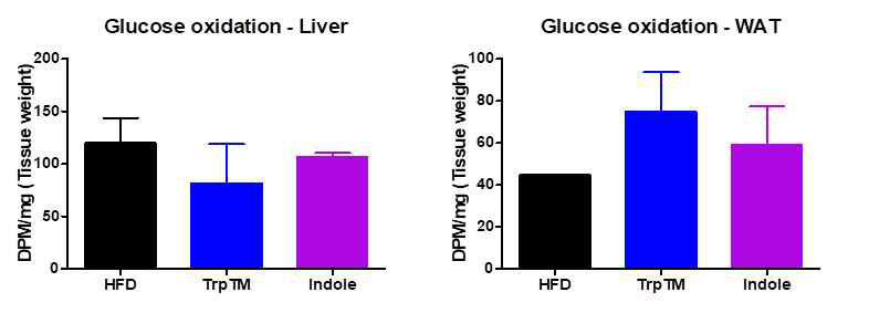 복강투여한 마우스의 간, 지방조직에서 14C-glucose 산화능