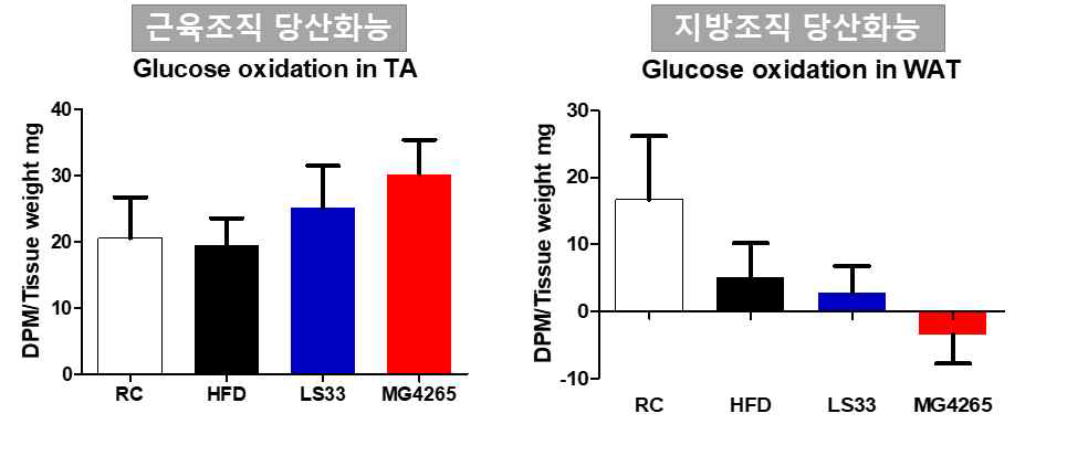 14C-glucose를 이용한 조직별 CO2 생성