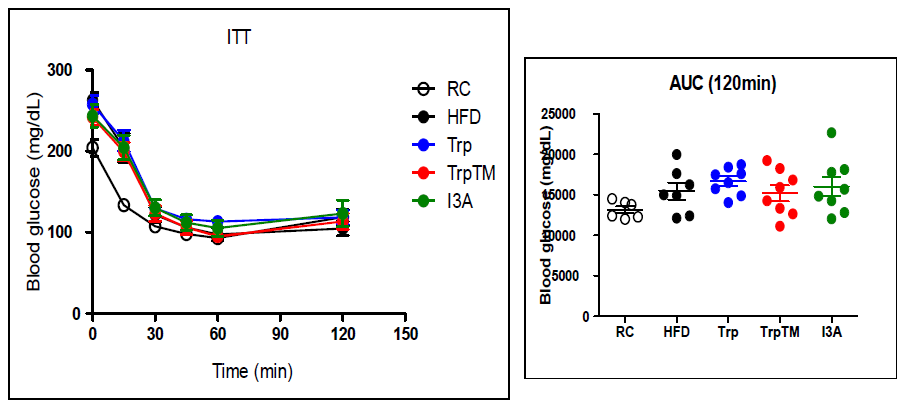 Intraperitoneal Insulin tolerance test (IPITT)