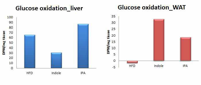 대사물질 후보군의 14C-glucose 산화능