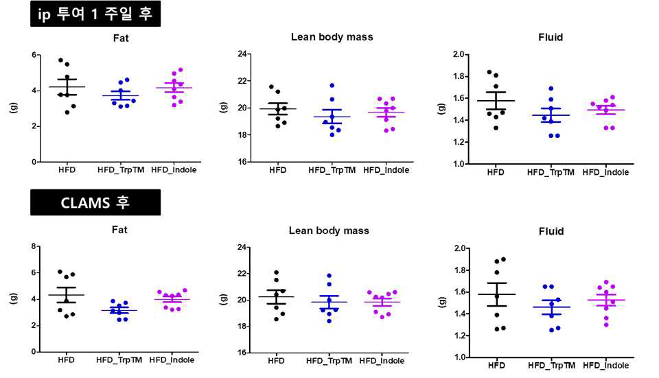 대사물질 ip 투여 마우스의 1주일 후 체지방량