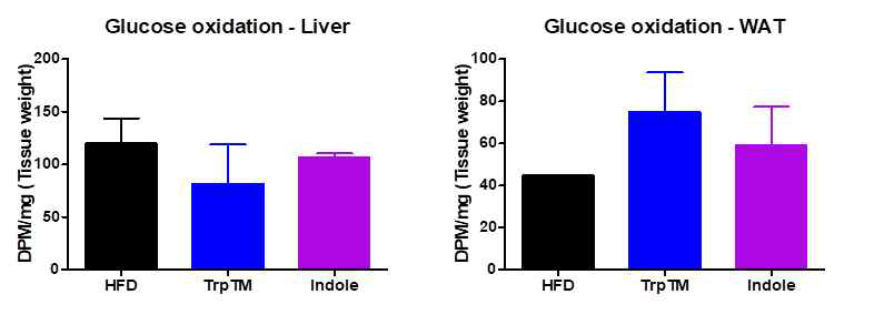 대사물질 후보군의 14C-glucose 산화능