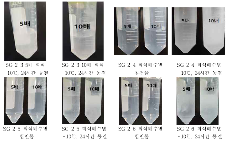 SG 시리즈 희석배수별 침전물 및 –10℃, 24시간 동결 시험