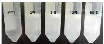 저온소독 후보제 SS-B2에 대한 –20℃, 24시간 동결시험