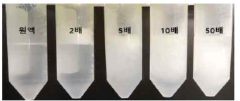 저온소독 후보제 SS-B2에 대한 –10℃, 24시간 동결시험