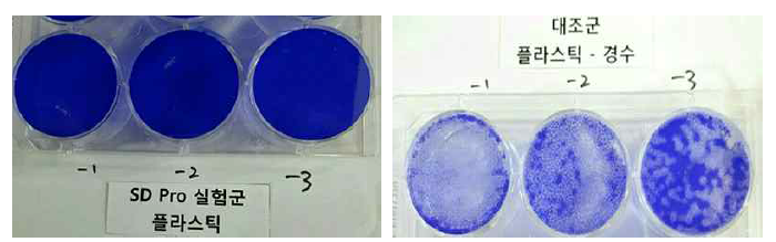 SDpro 스프레이의 저병원성 인플루엔자 바이러스에 대한 plaque assay 결과