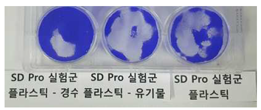 코팅형 소독제 원액을 이용한 세포독성 시험 결과