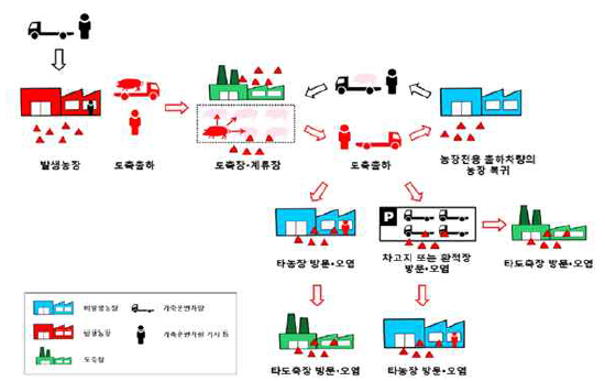 도축 출하와 관련된 바이러스 전파 모식도_농림축산검역본부