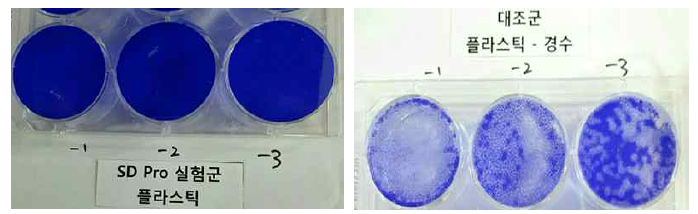 SDpro 스프레이의 저병원성 인플루엔자 바이러스에 대한 plaque assay 결과