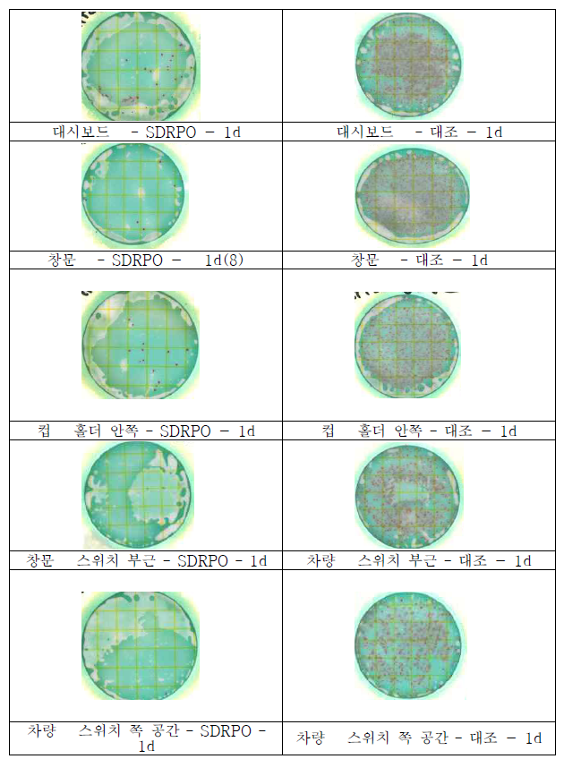 차량 내 소독제 적용 후 균수 측정 시험