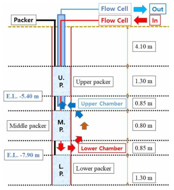 BDZ-1 시추공에서 설치된 현장 시험 장치 및 시험 중 지하수 흐름에 대한 모식도