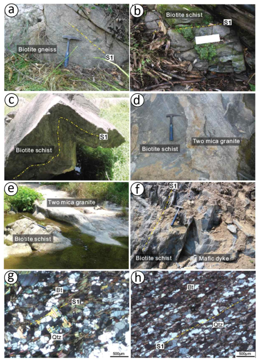 흑운모 화강암과 편암의 노두사진과 박편사진. (a) 엽리가 발달한 흑운모 화강암, (b) 엽리가 발달한 흑운모 편암, (c) 습곡된 흑운모 편암, (d) 흑운모 편암을 관입한 복운모 화강암, (e) 복운모 화강암 내 루프 팬던트 잔유물로 남은 흑운모 화강암, (f) 흑운모 편암을 관입한 염기성 암맥, (g) 흑운모와 석영이 배열된 흑운모 편마암, (h) 흑운모와 석영이 배열된 흑운모 편암 (Symbols: Qtz=Quartz, Bt=Biotite)