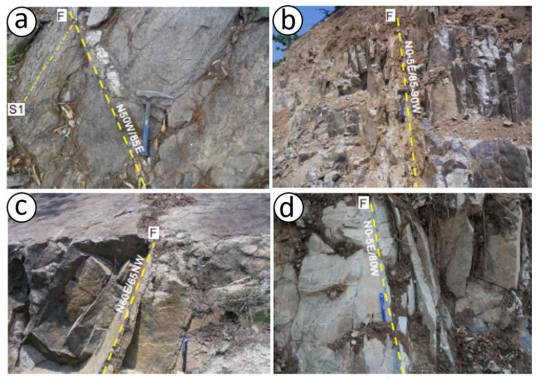 유성지역 암석 내 단층의 노두사진. (a) 흑운모 편암 내 엽리를 절단하는 단층과 석영맥, (b) 석영 반암 내 단층과 단층비지, (c) 복운모 화강암 내 단층, (d) 염기성 암맥 내 단층과 단층면을 따라 받은 녹니석화작용
