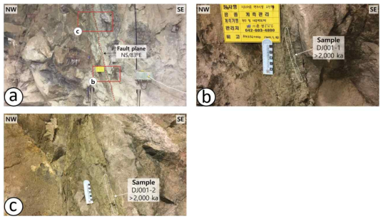 KURT 부지에 발달한 F1 단층과 단층각력암 시료 DJ001-1, DJ001-2의 채취 지점 및 ESR 연대