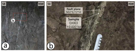 KURT 부지에 발달한 F4 단층과 단층비지 시료 DJ003의 채취 지점 및 ESR 연대