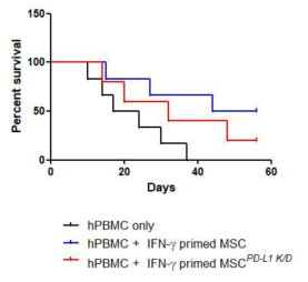이식편대숙주병에 대한 IFN-γ 전치치 MSC 치료 효과에서 PD-L1의 역할 in vivo 분석