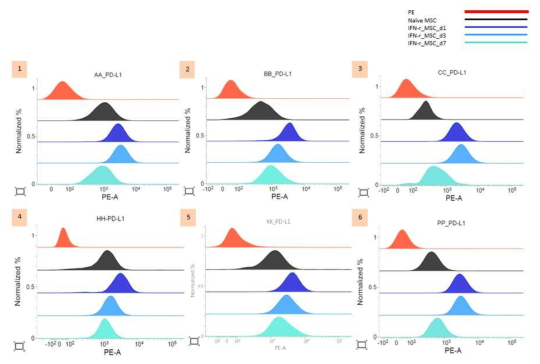 공여자 별 IFN-γ 전치치된 MSC에서 PD-L1 발현의 시간에 따른 변화