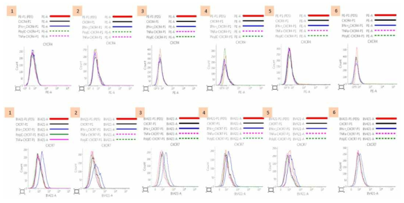 Inflammatory stimuli 처리 전, 후 줄기세포의 CXCR4, CXCR7 단백질 발현 변화