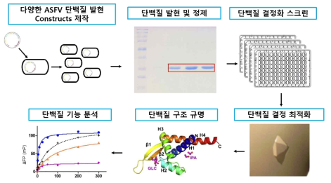 연구 수행 과정 요약