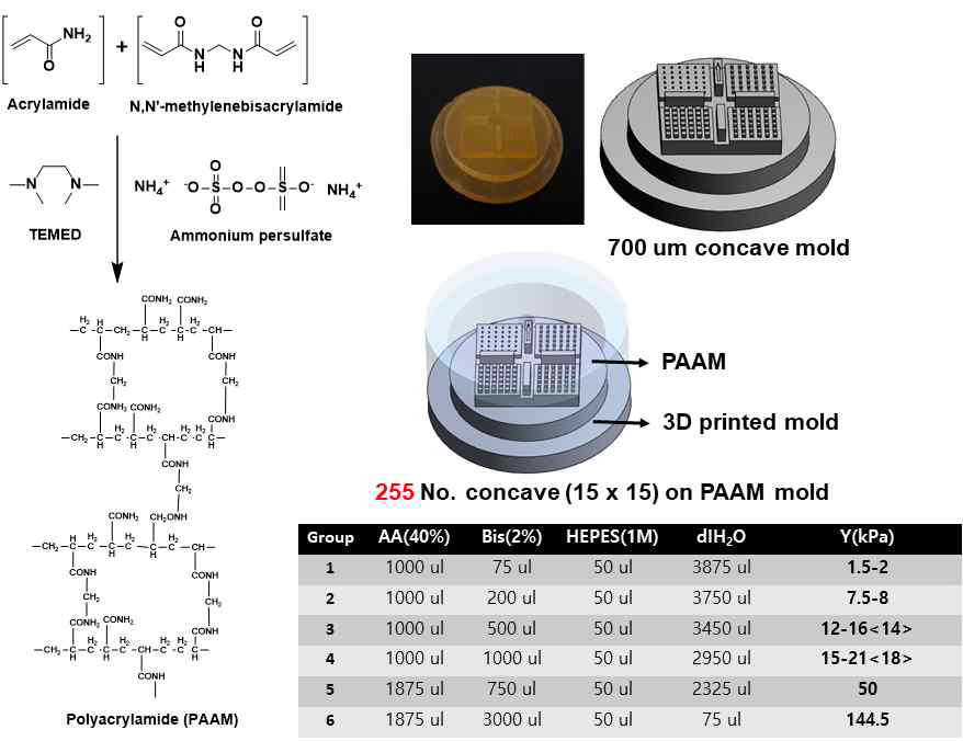PAAM 수화젤의 제조 방법 및 상대적 비율에 따른 예상 기계적 물성