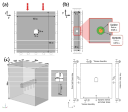 시나리오 별 모델의 형상 및 경계조건 (a) 처분터널 주변 근계영역 응력장 교란 모델 (b) 처분공에서 열응력에 의한 응력장 진화 모델 (c) 지진에 의한 수직 및 전단응력 변화 모델