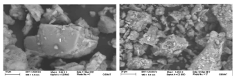 SEM 이미지: Ca-carbonate, Ca-Na Plagioclases