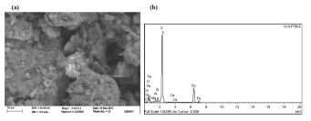 (a) SEM 이미지 및 (b) EDAX: Fe-sulfur (Pyrite)