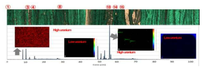 함우라늄 시추코어의 micro-XRF 분석