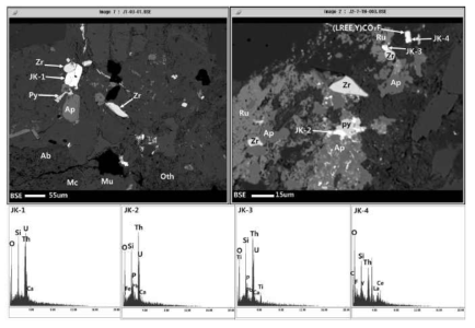 KURT DB-1 화강암 시료 내 우라늄-토륨 광물의 BSE image 및 EDS peak