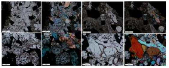 함우라늄 시추코어의 연마편 현미분석