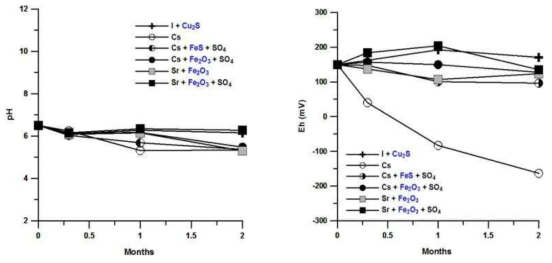 압축벤토나이트/핵종/화강암 모듈 수용액의 pH 및 Eh 변화