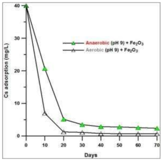 산화 혹은 환원 조건 ‘Fe2O3 + 완충재’에 대한 세슘 수착 곡선