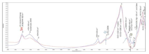 KJ-II 벤토나이트에 대한 FTIR 분석 (blue: 상온 건조시료, red: 110 ℃ 건조시료)