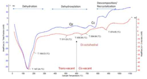 KJ-II 벤토나이트 bulk 시료(blue)와 2 μm 이하 미세입자 시료(red)에 대한 DSC 결과 비교 분석