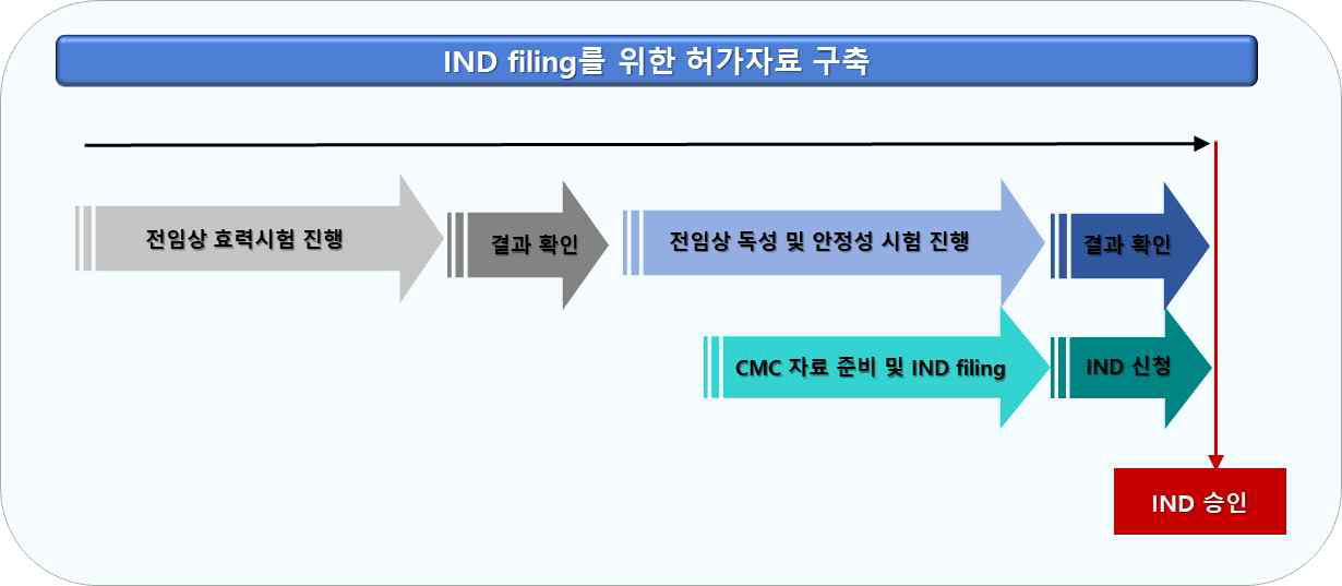 IND filing 허가자료 구축과정