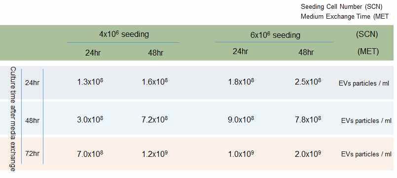 종배양 세포수와 배양시간에 따른 엑소솜 생산성 비교