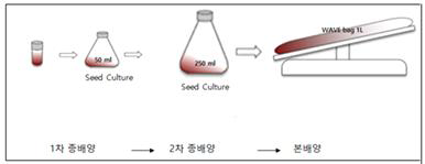 대량배양을 위한 공정 설계