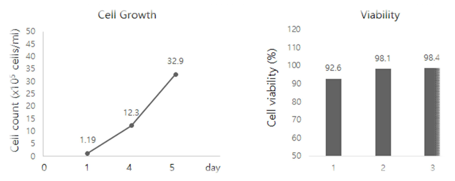 1차 종배양에 따른 cell viability