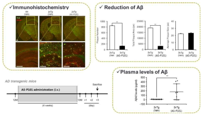 AS-P101 투여에 의한 Aβ 응집체 감소 및 혈중 Aβ 모노머 농도 증가