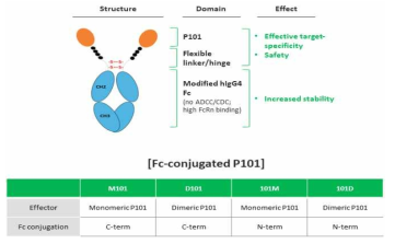 Fc-conjugated P101