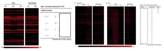 Cell surface marker screening Result od MSSC (Heat Map)