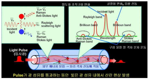 광섬유 산란광 특성