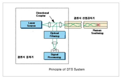 DTS system의 기본 구성 및 원리