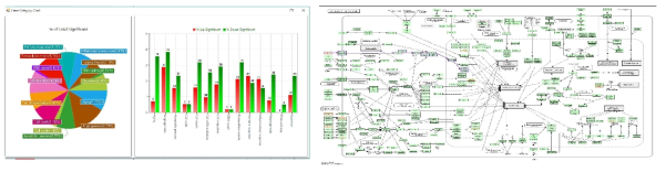 PD-L1과 후보군 lncRNA의 pathway 성립을 다양한 방법의 분석 결과