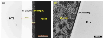 (a) 전해도금과 증착법을 이용하여 제조한 Cr과 CrN 복합 층 코팅의 미세구조 (b) Ce-Nd를 이용한 650℃, 25시간 상호반응실험 결과