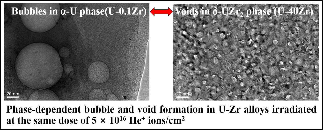 동일 조건 He 이온빔 조사 실험을 통한 α-U과 δ-UZr2 고체상의 조사저항성 비교